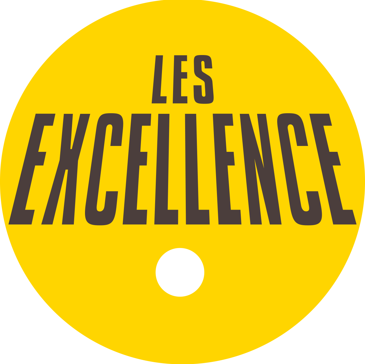 LES EXCELLENCE LOGOTYPE 1